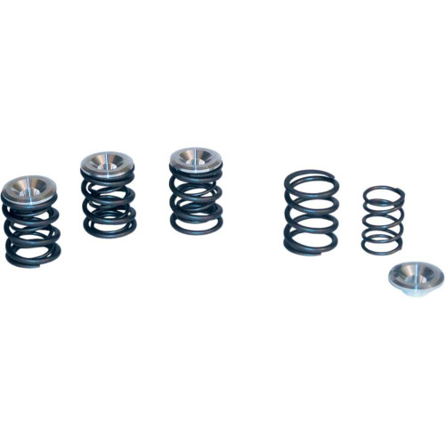 S&S CYCLE 902053 S&S Cycle Valve Spring Kit - Big Twin 90-2053