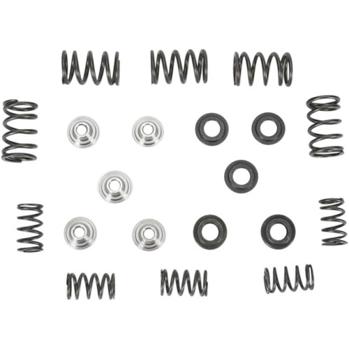 KIBBLEWHITE 8080030 Kibblewhite Valve Spring Kit 80-80030
