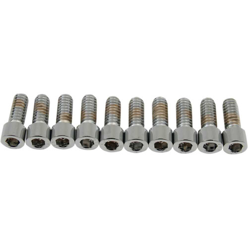 DRAG SPECIALTIES DS-190534S Drag Specialties Bolts - Socket-Head - Smooth - 1/4-20 X 5/8"
