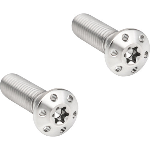 Arlen Ness Mounting Bolts - Polished 300-917