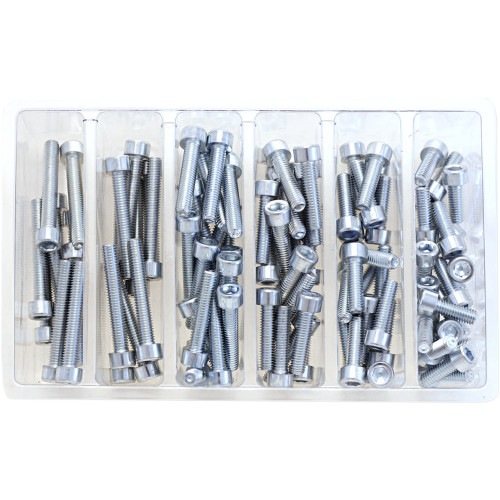 Bolt Bolt Assortment - Socket - Allen Sv-M6Socket