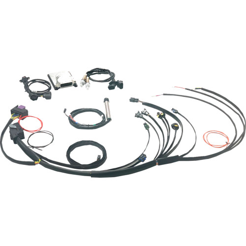 Namz Complete Stand Alone Efi Engine Management System - Twin Cam N-Efi-01