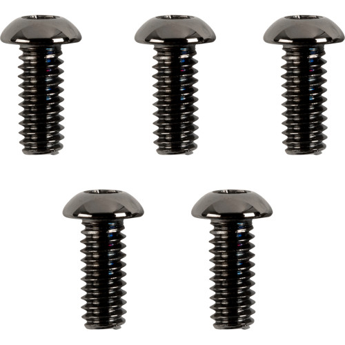 Drag Specialties Bolt Kit - Clutch - Torx - Black/Chrome