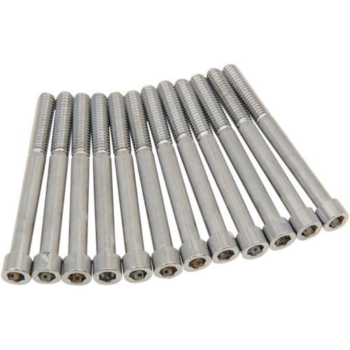 DRAG SPECIALTIES 2401-0973 Drag Specialties Bolt Kit - Crankcase - Chrome - Smooth - M8