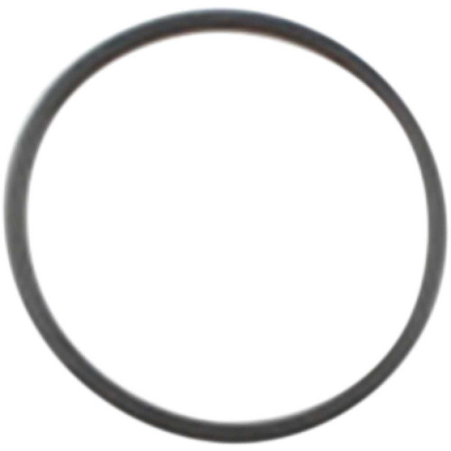 COMETIC C9201F1 Cometic Starter Seal O-Ring - Twin Cam C9201F1