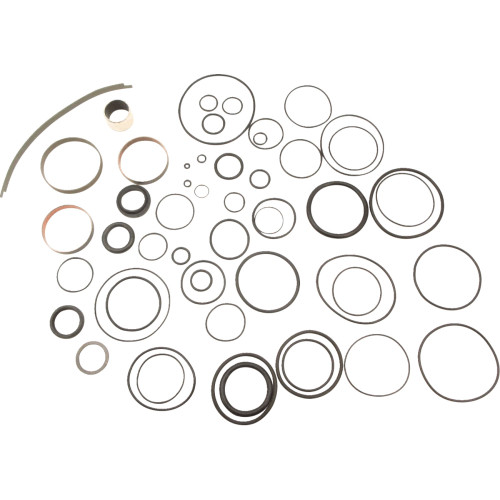 Complete Rebuild Kit 29-03-121-R