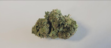 Sweeten Your Smoke with Apple Fritter THCA Flower - 1/8oz Sweeten Your Smoke with Apple Fritter THCA Flower - 1/8oz