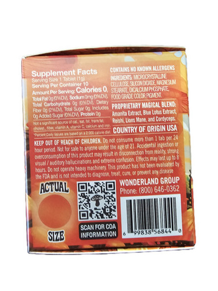 Orange Dream Mushroom Tabs