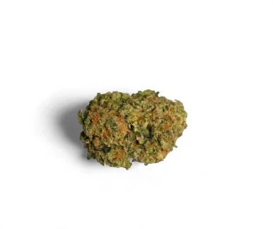 Bangkok Purple THCA Flower