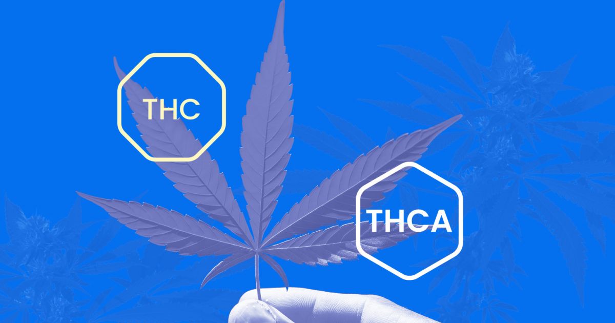 Buy THCA in Sauk City WI THC Dispensary