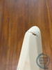 Tokai Random Star Guitar, Super Edition, White, MIJ, 1985