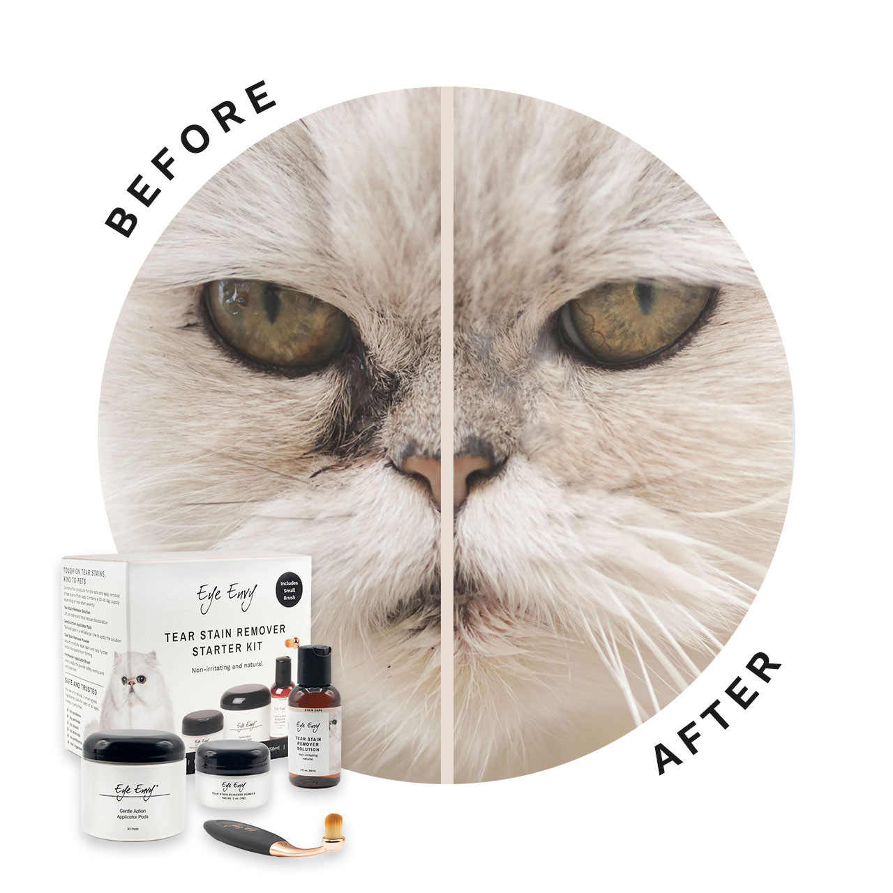 Eye Envy Starter Kit for Cats with ProPowder Brush