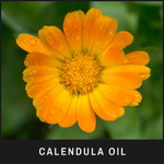 Calendula Oil has powerful anti-inflammatory properties
