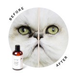 Before an After using Eye Envy Tear Stain Remover Solution for Cats