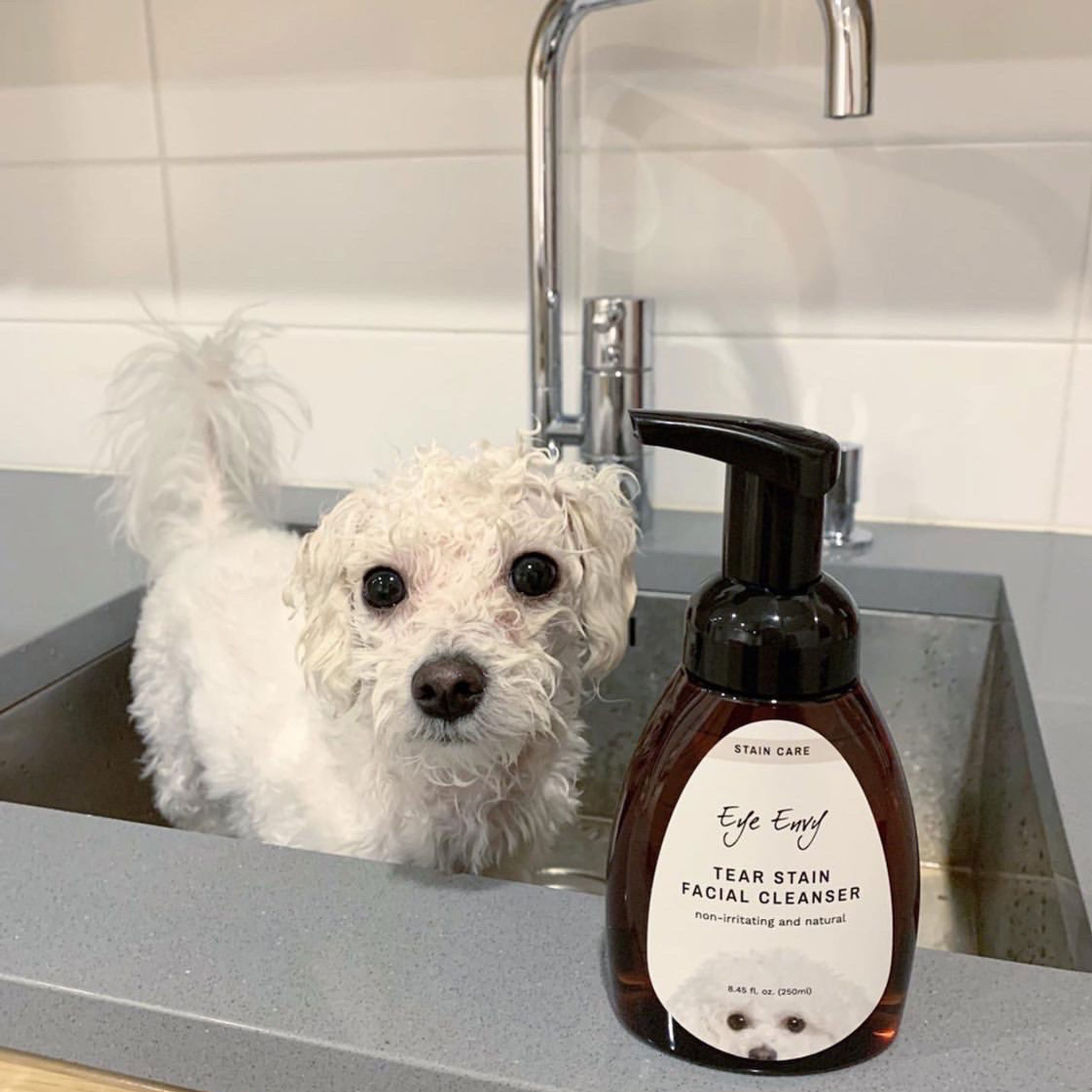 Eye Envy Tear Stain Facial Cleanser. For stained pet's faces.