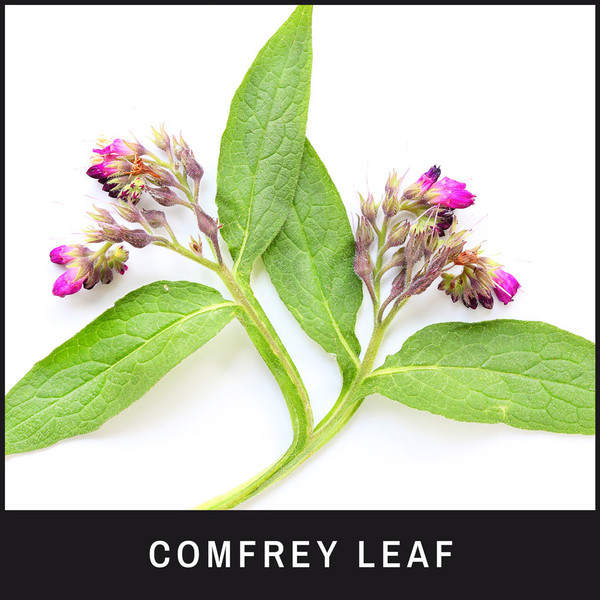 Comfrey Leaf Extract is ideal for hot spots and calming rashes