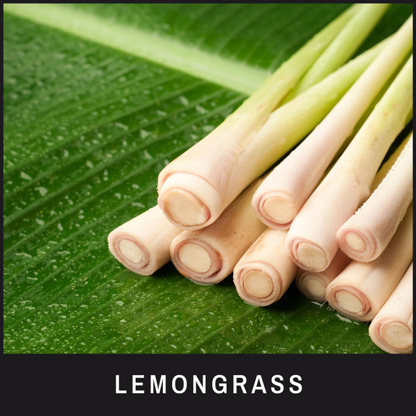 Lemongrass prevents licking and scratching