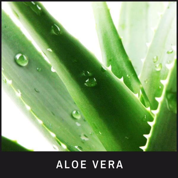 Aloe Vera hydrates, adds moisture and a protective layer