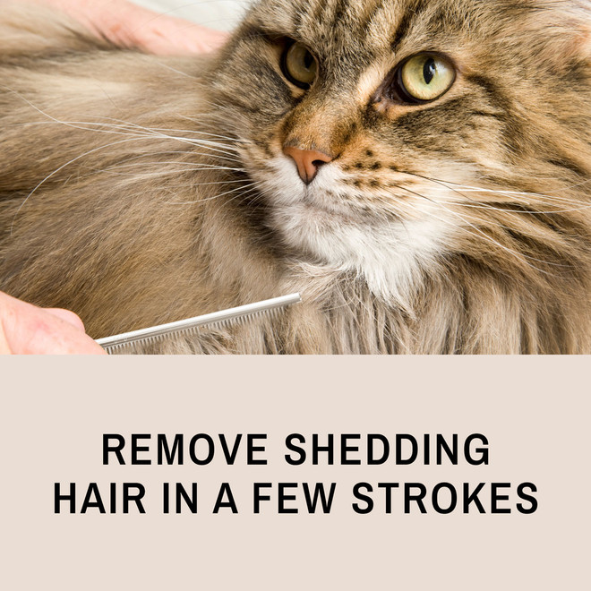 Long Haired Cat Comb Deshed and Detangle