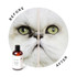 Before an After using Eye Envy Tear Stain Remover Solution for Cats