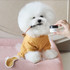 ProPowder Applicator Brush
