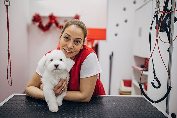 Professional groomer in salon