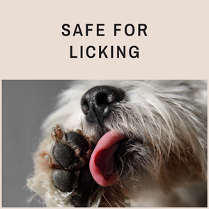 Safe For Licking 