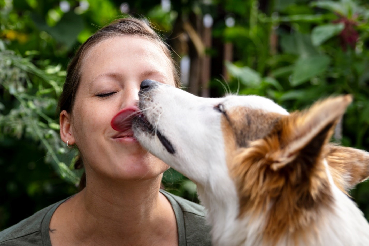 why-does-my-dog-keep-licking-me-eye-envy-inc