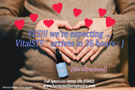 We're Expecting