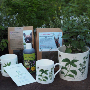 The Ultimate Herb lovers gift, Featuring a Fine Bone China Herb Planter, Mug, Seeds and Lou's Poo Gift Set | Buy Online