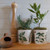 Fine Bone China Herb Planter | Buy Online