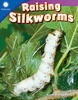 Smithsonian Readers Grade 1 : Raising Silkworms