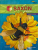 Saxon Math Grade 6 Course 1 Math Activities Workbook 2018