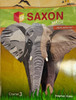 Saxon Math Grade 8 Course 3 Math Activities Workbook 2018