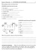 Spellwell Book C Student Workbook Grade 2