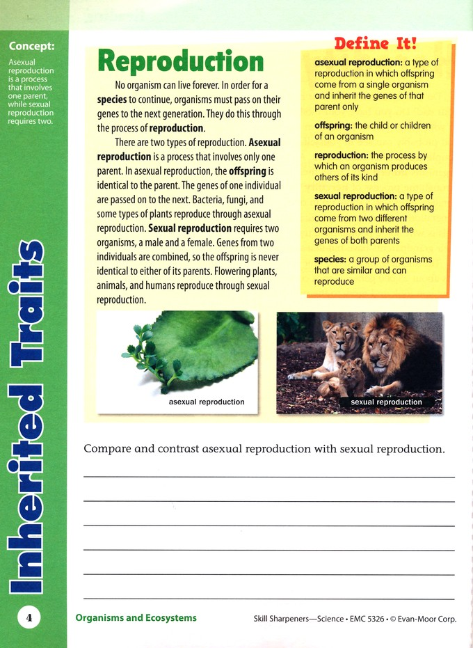 Evan (given name) visual data 2