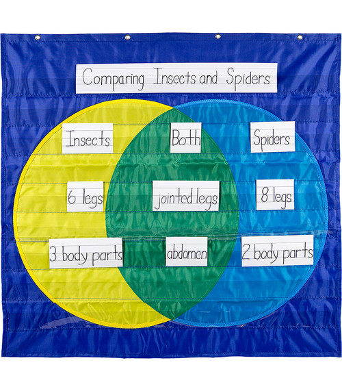 venn diagram pocket chart carson dellosa venn diagram pocket chart