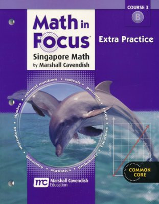 Math In Focus Grade 8 Course 3 Extra Practice B