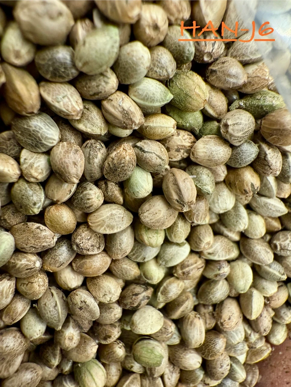 Ripkitty Organic Raw Viable Whole Hemp Seeds - primary pack
