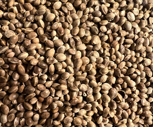 Ripkitty Premium Toasted Organic Whole Hemp Seeds