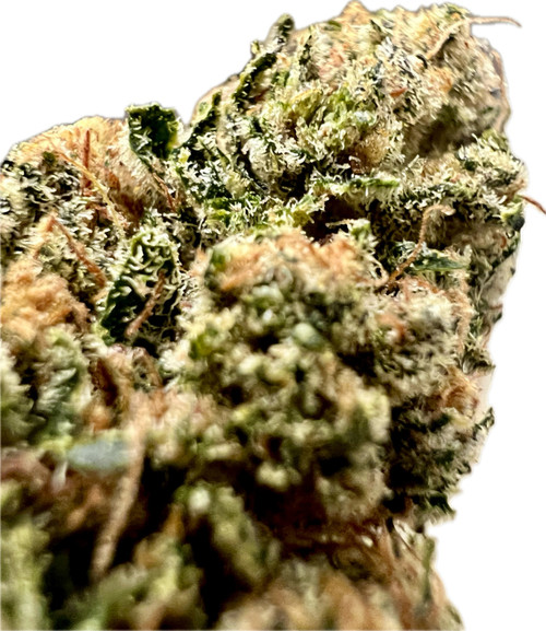 This close-up shot screams trichome overload, as if the bud was dipped in powdered sugar but in the most badass way possible. Frosty as hell, like it was chilling in a freezer all day, those crystals are a tribute to high potency perfection. The orange pistils claw through the green like fire creeping up a forest, and it's clear this baby’s ready to fuck up your grinder with all its sticky goodness.