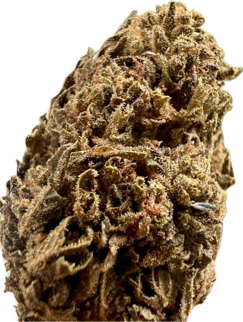 Up close and personal, this Jungle Driver bud is a fucking masterpiece of nature. The dense trichomes glisten like a diamond-studded crown, while the intricate network of pistils twists and turns, giving it that gnarly, rugged look.