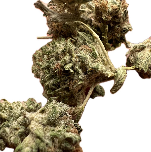 CBG White