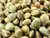 Macro shot of raw Han Ne strain hemp seeds highlighting their natural texture, and nutrient-dense quality for industrial agriculture.
