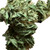Bubba Kush