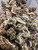 Look at this pile of rugged, gnarly buds. These suckers are covered in crispy leaves that look like they’ve seen some serious shit. Packed tight and ready to light up your world, these nugs scream potency. The mix of dark and light greens, with a hint of frosty trichomes, tells you this isn’t just any back-alley weed.