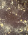 Ripkitty Premium Unwashed Untreated Unprocessed Organic Whole Raw Blue Poppy Seeds - Papaver Somniferum