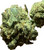 Ripkitty Royal OG CBD Hemp Flower