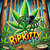 Ripkitty Super Sour Lifter CBD Hemp Flower