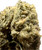 This shot brings focus to the flower’s tip, where the trichomes are most concentrated. The close-up reveals a mix of colors—ranging from dark green to light amber—reflecting the bud’s maturity and quality. The texture appears rough but rich, suggesting a strong, potent flower.
